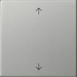 Клавіша 1-кл. зі стрілками S3000 System 55 Gira 5389600, сталь