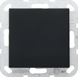 Заглушка з опорною пластиною System 55 Gira 0268005 чоний матовий