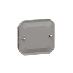 Заглушка мех-м. Legrand Plexo New 069537L колір сірий