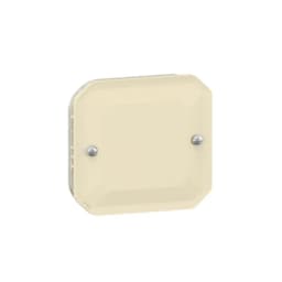 Заглушка мех-м. Legrand Plexo New 069847L колір бежевий
