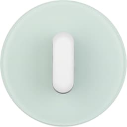 Центральна панель вимикача з ручкою, скло/полярна білизна, R.Classic, 10012083