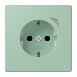 Розумна розетка з заземленням 250V/16А JUNG HOME Energy BTLC1521SE217, vert anglais clair