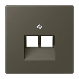 Накладка для 2-ї комп’ютерної розетки UAE JUNG LC969-2UA241 ombre naturelle 31 (32140)