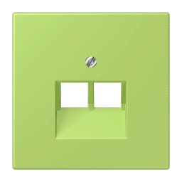 Накладка для 2-ї комп’ютерної розетки UAE JUNG LC969-2UA221 vert clair (32052)