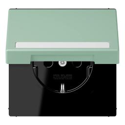 Розетка з заземленням 250V 16A з кришкою, шторками та полем для напису, пружинний зажим JUNG LC1520BFNAKL217 vert anglais clair (32041)