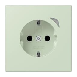 Розумна розетка з заземленням 250V/16А JUNG HOME Energy BTLC1521SE218, vert anglais pâle