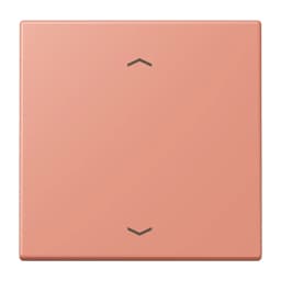 Клавіша зі стрілками JUNG LC990P233 l’ocre rouge moyen (32111) для керування, оригінал