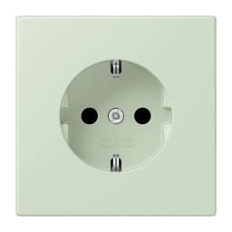 Розетка з заземленням 250V 16A гвинтовий затиск JUNG LC1521218 vert anglais pâle