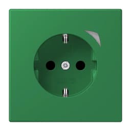 Розумна розетка з заземленням 250V/16A JUNG HOME Energy BTLC1521SE219, vert foncé