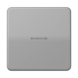 Клавіша JUNG HOME 1 група BTCD17101GR сірий оригінал
