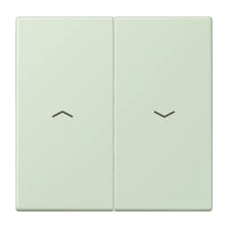Клавіша 2-а зі стрілками JUNG LC995P218 vert anglais pâle, оригінал