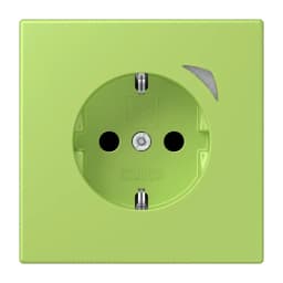 Розумна розетка з заземленням 250V 16А JUNG HOME BTLC1521S221, vert clair
