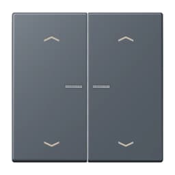 Клавіша з символом «стрілки» JUNG HOME, 2 групи, BTLC17102P262