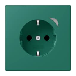 Розумна розетка з заземленням 250V/16A JUNG HOME Energy BTLC1521SE216, vert anglais