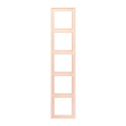 Рамка 5-постова Jung LS990 LC985226 з дюропласту, колір orange pâle