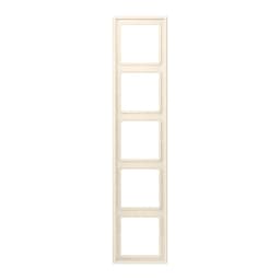 Рамка 5-постова Jung LS990 LC985245 дюропласт, колір blanc ivoire