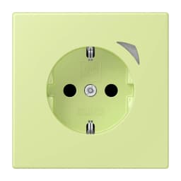Розумна розетка із заземленням 250V/16A JUNG HOME BTLC1521S222, vert jaune clair